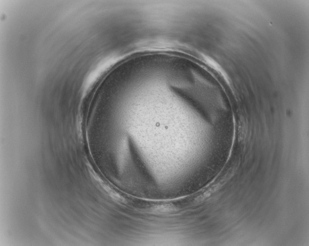 X0000059251464200510281944