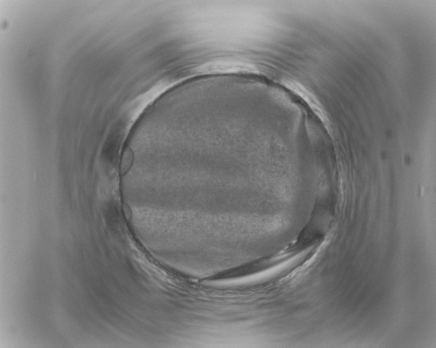 X0000059251465200510281944