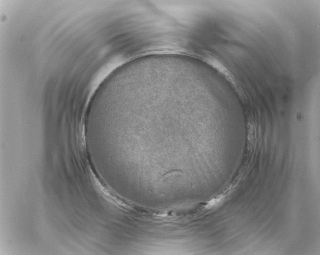 X0000059251466200510281944