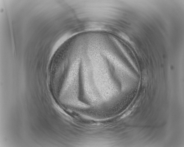 X0000059251467200510281944