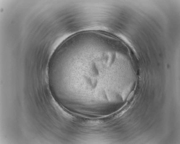 X0000059251468200510281944