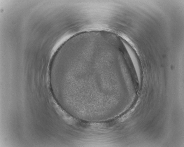 X0000059251469200510281944