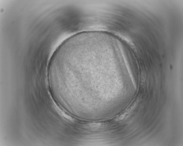 X0000059251470200510281943