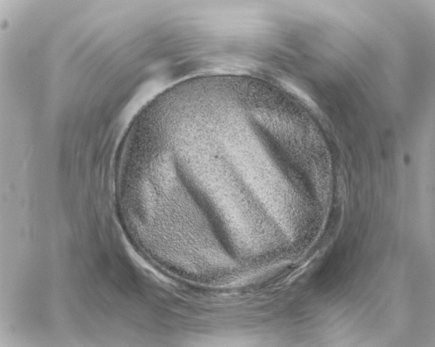 X0000059251471200510281943