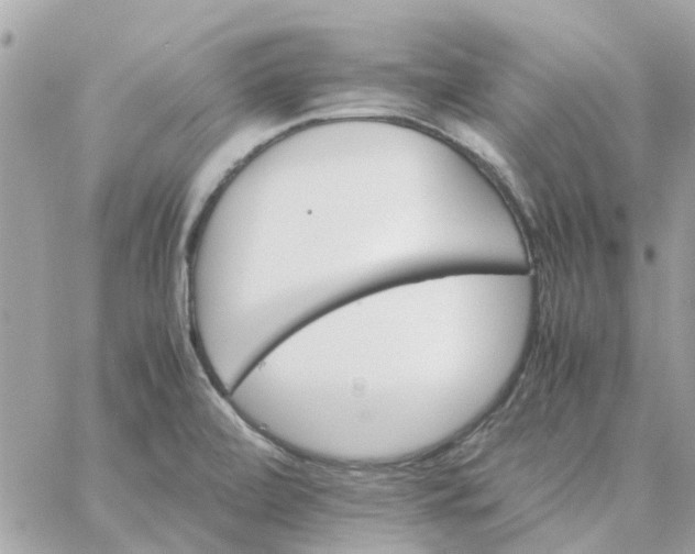 X0000059251472200510281943