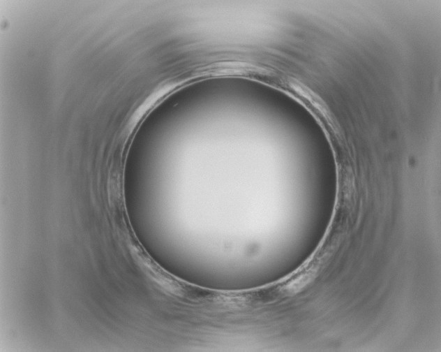 X0000059251473200510281943