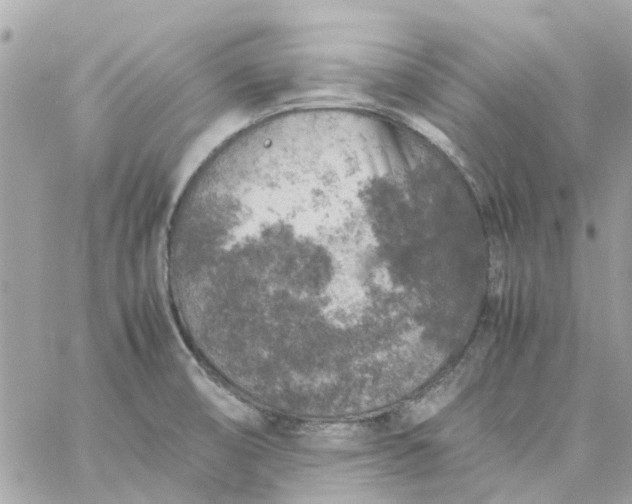 X0000059251474200510281943