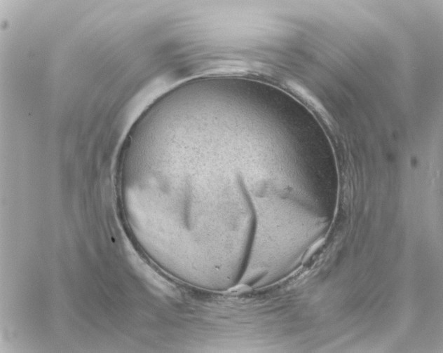 X0000059251475200510281943