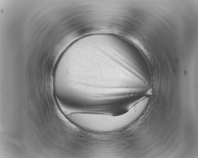 X0000059251476200510281943