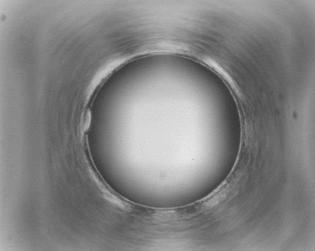 X0000059251477200510281943