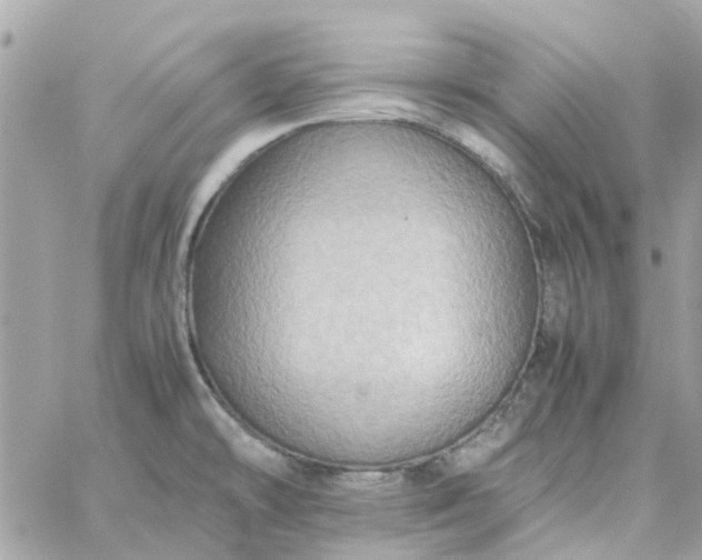 X0000059251478200510281943