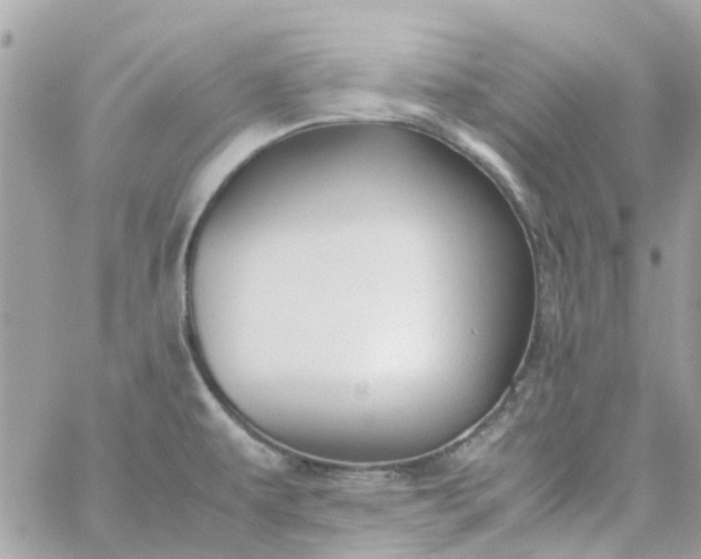 X0000059251479200510281943