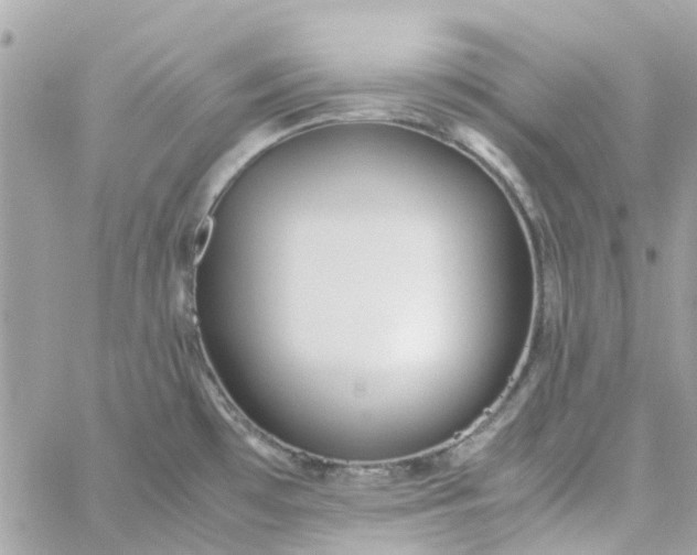 X0000059251481200510281943