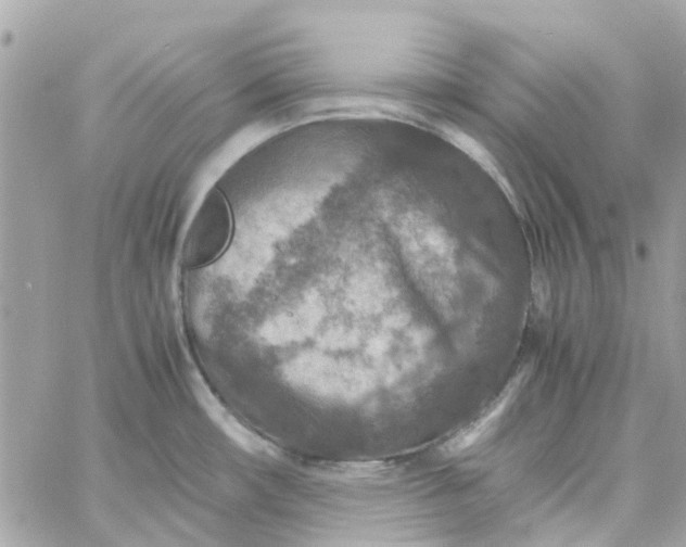 X0000059251482200510281943