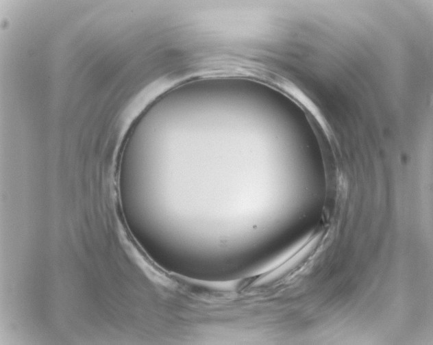 X0000059251485200510281943