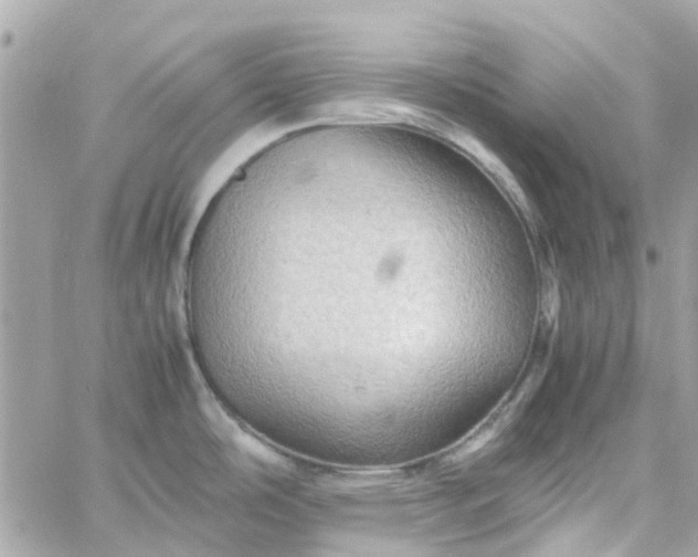 X0000059251486200510281943