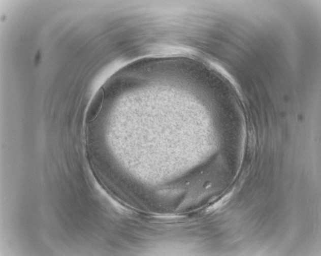 X0000059251487200510281943