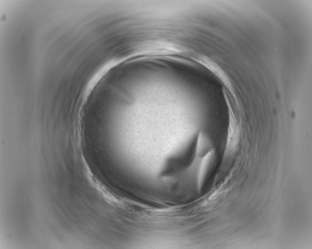 X0000059251488200510281943