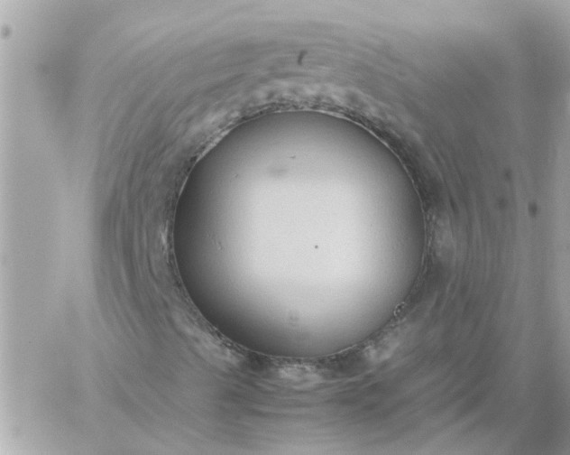 X0000059251489200510281942