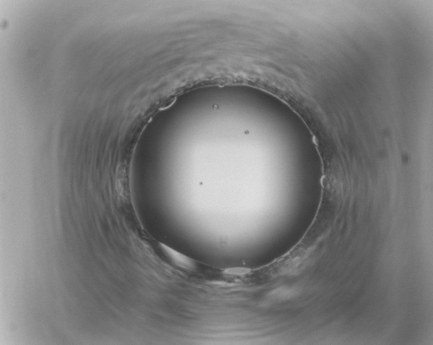 X0000059251490200510281942