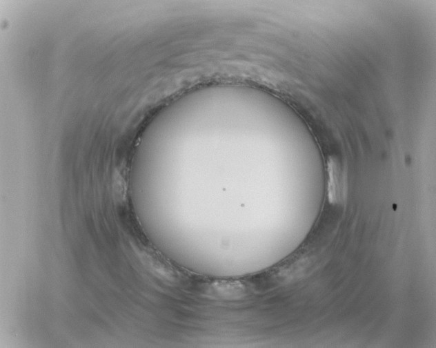 X0000059251491200510281942