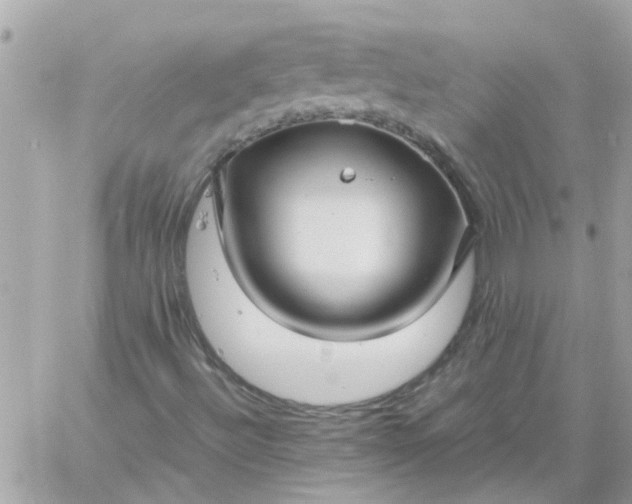 X0000059251492200510281942