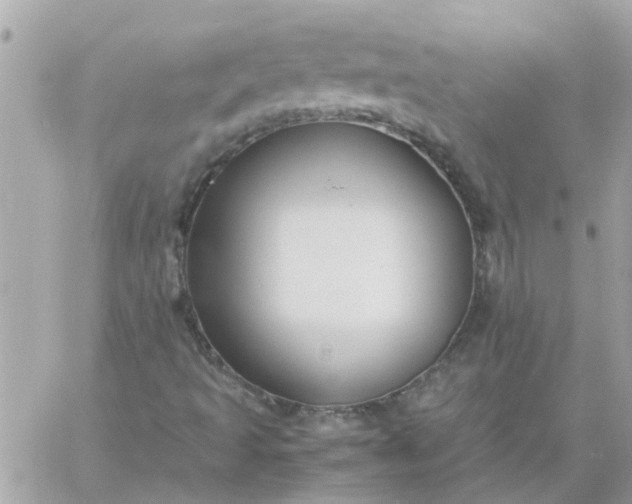 X0000059251493200510281942