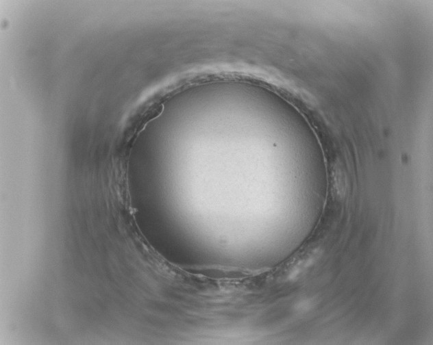 X0000059251494200510281942