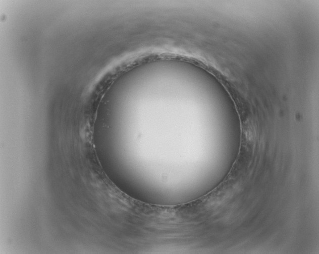 X0000059251495200510281943