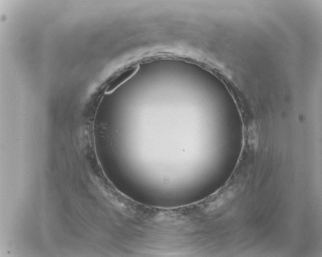 X0000059251496200510281943