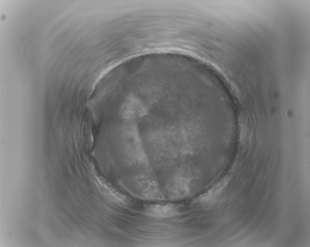 X0000059251497200510281943