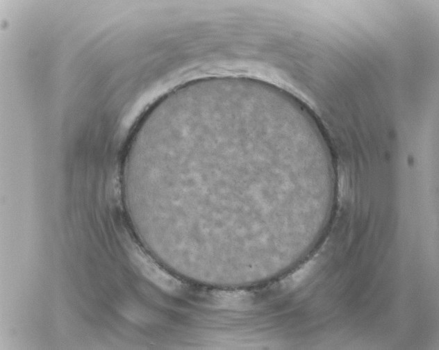 X0000059251498200510281943