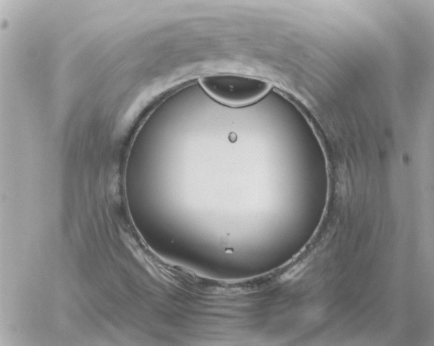 X0000059251499200510281943