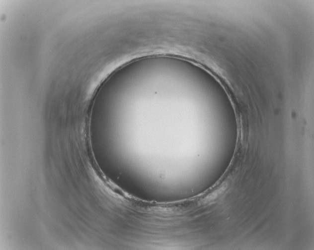 X0000059251500200510281943