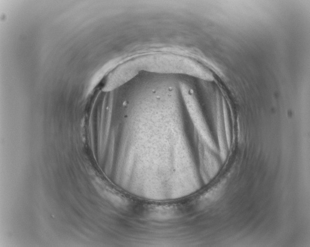 X0000059251501200510281943