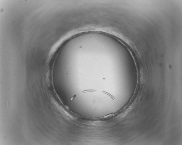 X0000059251502200510281943