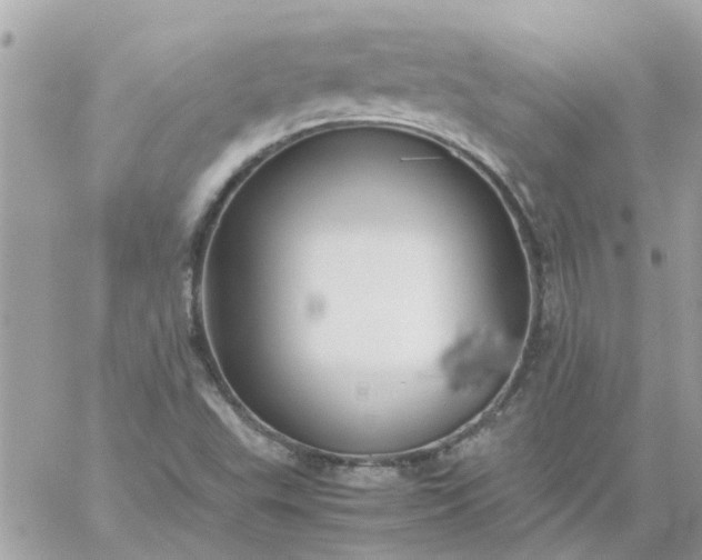 X0000059251503200510281943