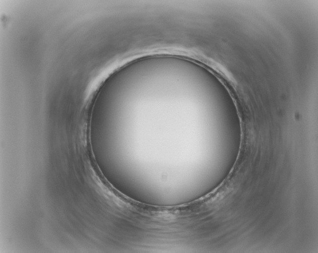 X0000059251504200510281943