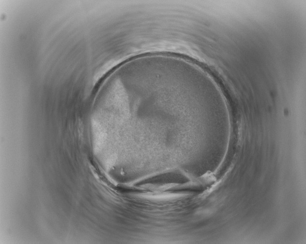 X0000059251505200510281943