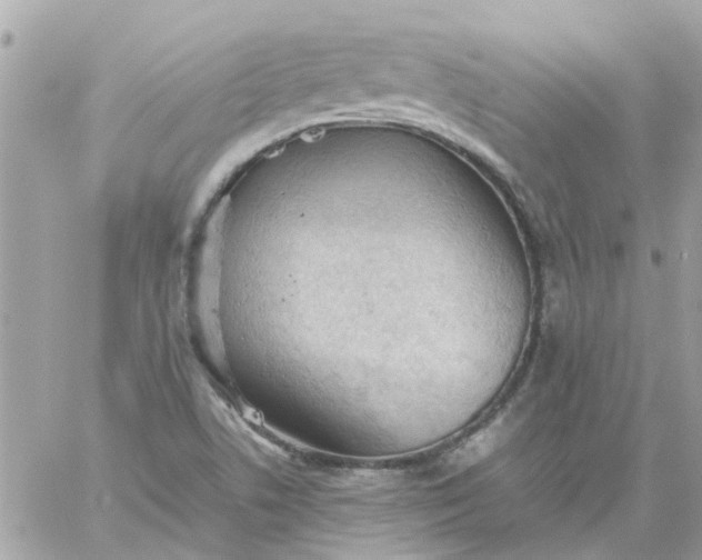 X0000059251506200510281943