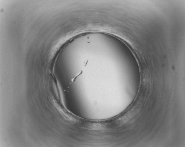 X0000059251507200510281943