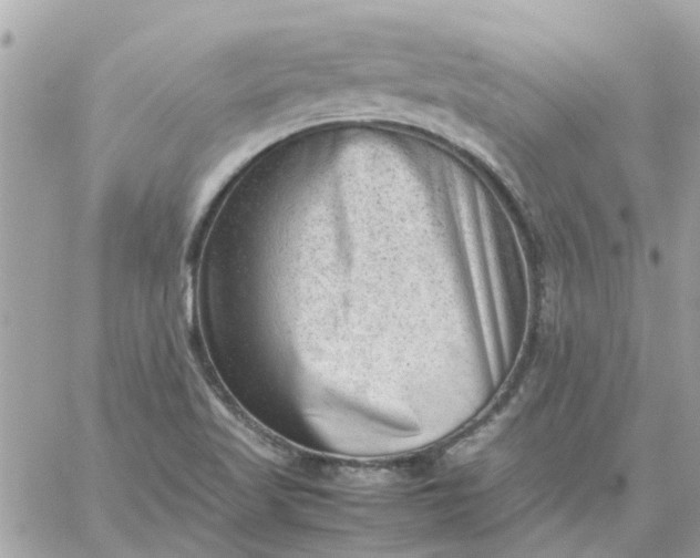 X0000059251509200510281943