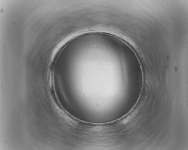 X0000059251510200510281943