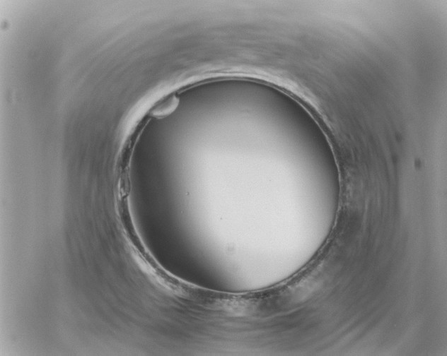 X0000059251511200510281943