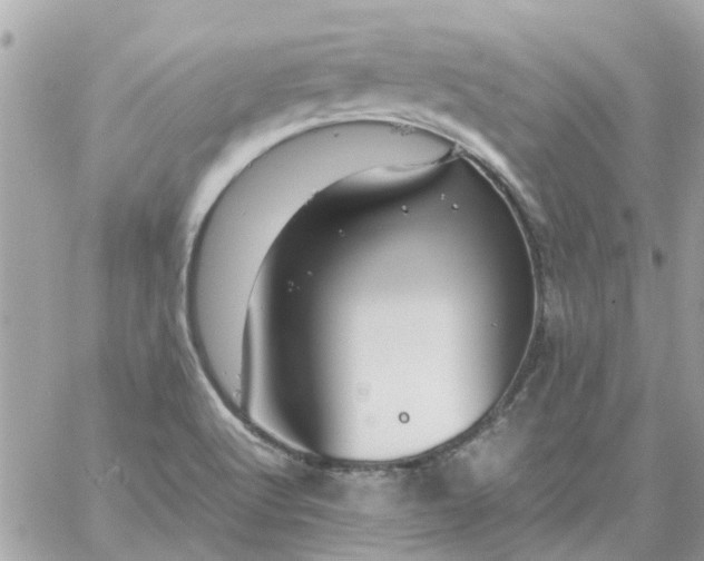 X0000059251512200510281943