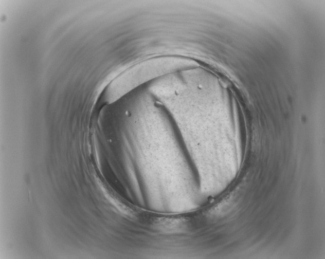 X0000059251513200510281943