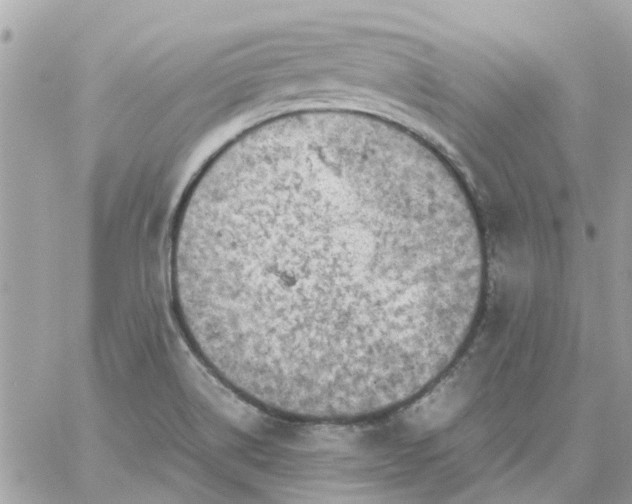 X0000059251514200510281943