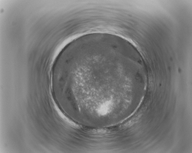 X0000059251515200510281943