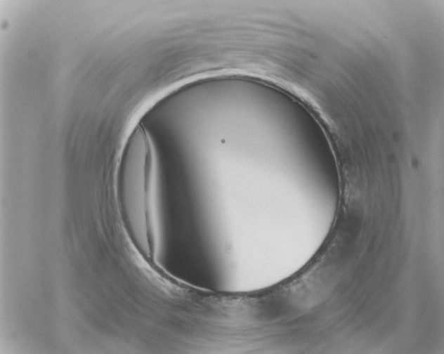 X0000059251516200510281943