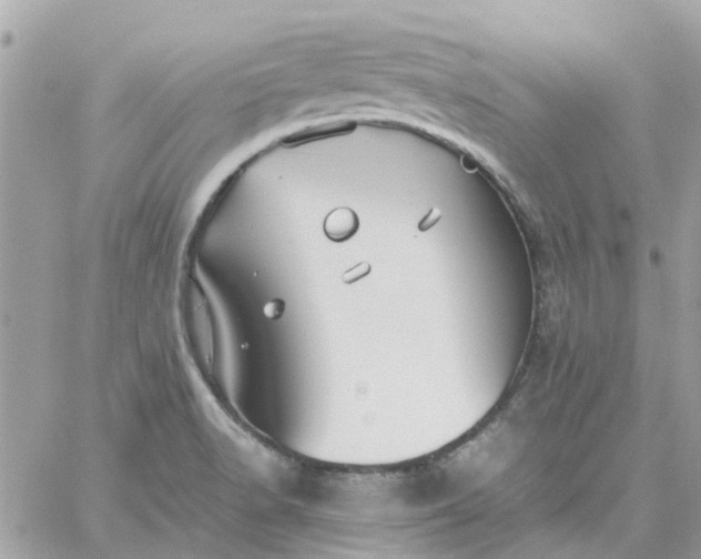 X0000059251518200510281943